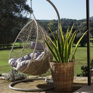 Alexandra Sunrise, Home & Living brand in Spain