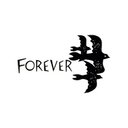 Forever Cards