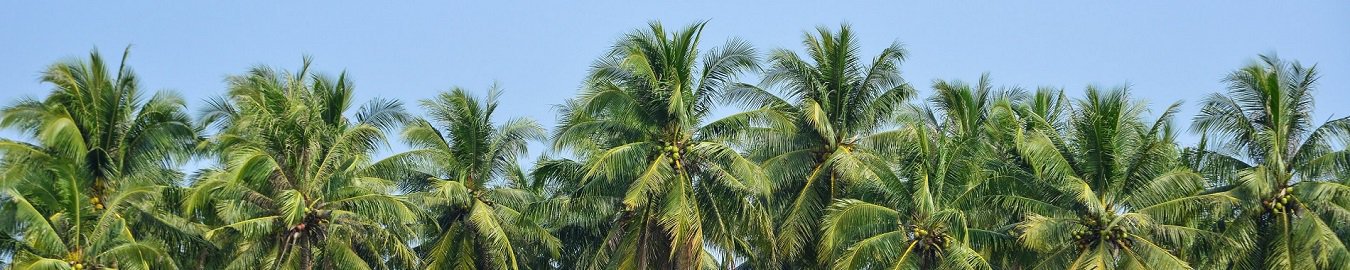 CocoNamvie B.V.