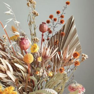 Secca, Home & Living brand in Poland