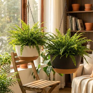 Grovita, Home & Living merk in Nederland