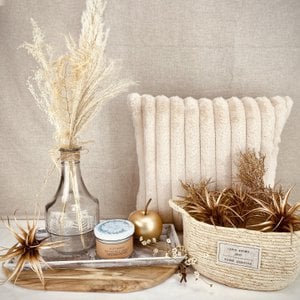 Patjess - Home Living, Health & Beauty brand in Germany