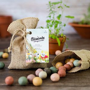 Blossombs DE, Stationery brand in Netherlands