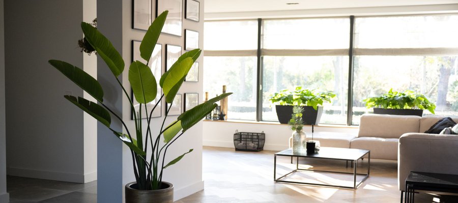 Green boutiQ