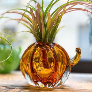 SBAMGLASS, Home & Living brand in Italy