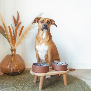 AVA bowls, Home & Living brand in Netherlands