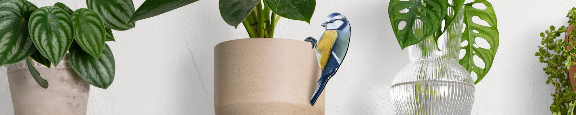 Fine Forest wall stickers