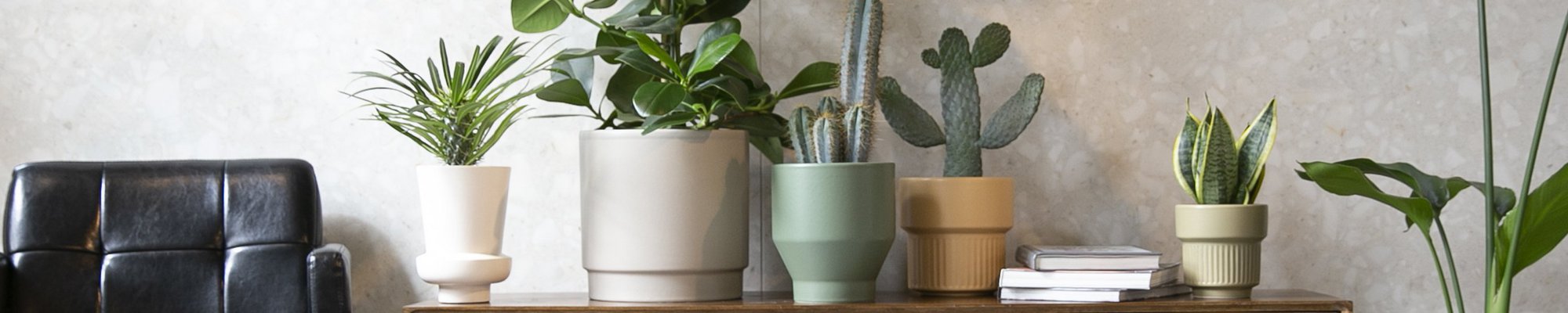 Ceramics Limburg