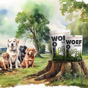Woef Woef Snacks, Home & Living brand in Netherlands