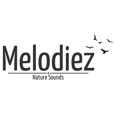 Melodiez - Natuurgeluiden Box