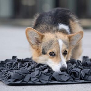 WOOFSTUFF - SHOP FOR DOGS, Home & Living brand in Germany