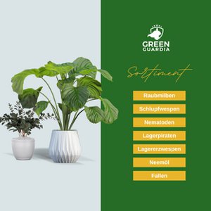 Green Guardia - Ihr Spezialist für natürliche Schädlingsbekämpfung, Home & Living brand in Germany