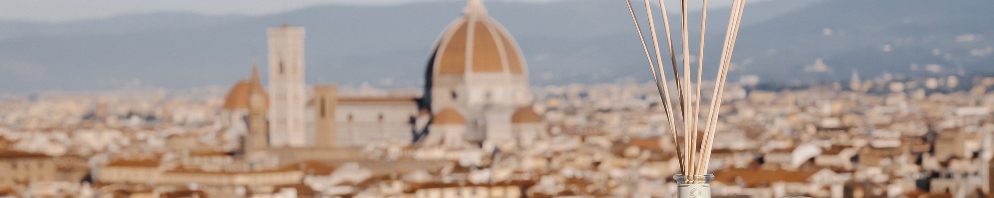 Logevy Firenze 1965