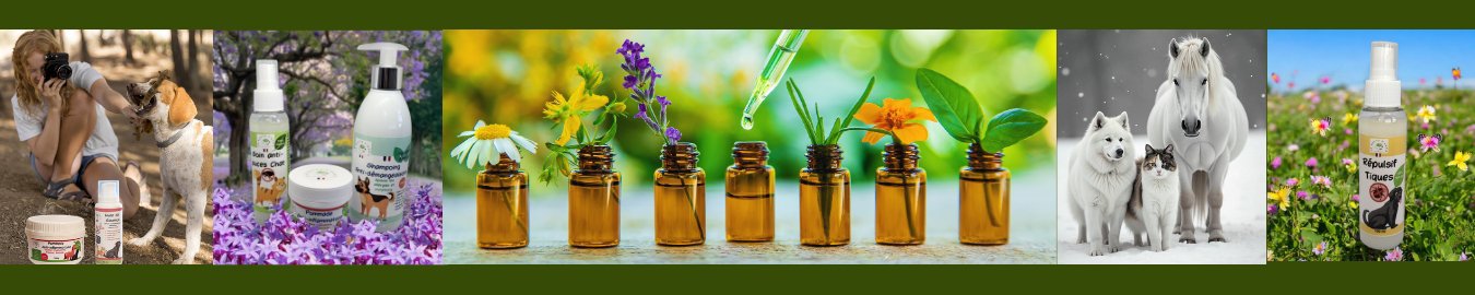 LA PHYTO D'ANAÏS