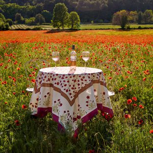 Couleur Nature, Fashion brand in France