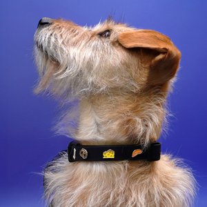 PawPopz, Home & Living merk in Duitsland