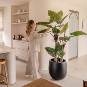 Greenmoods, Haus & Wohnen Marke in Niederlande