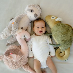 Fehn, Kids & Baby brand in Germany
