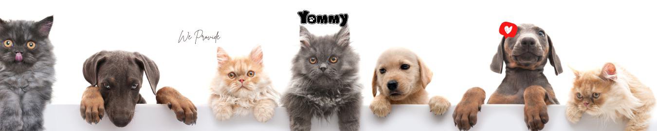 Yommy