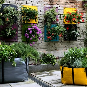 Blooming Walls Ltd., Home & Living brand in Czech Republic