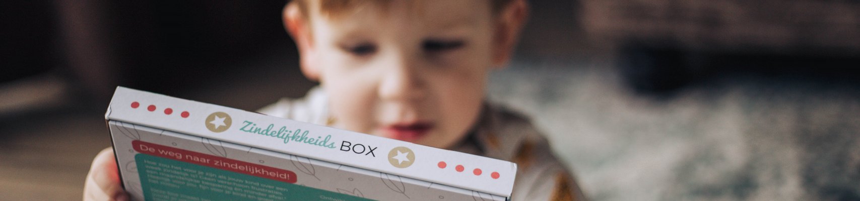 Zindelijkheidsbox