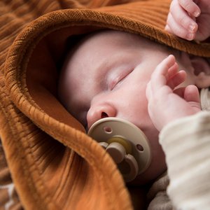 Witlof for kids, Kids & Baby brand in Belgium