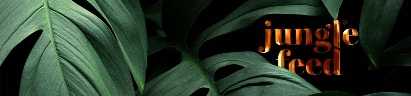 JUNGLE FEED